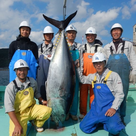 Full-life-cycle aquaculture of bluefin tuna
