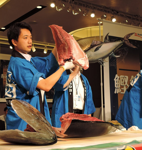 Tuna cutting performance
