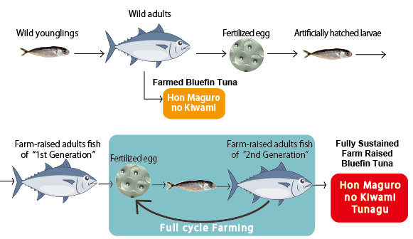 Complete-aquaculture