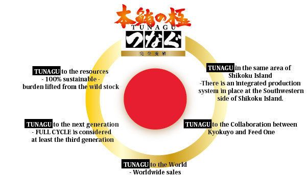 5 concepts for TUNAGU