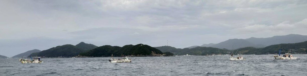 20241024.jpg